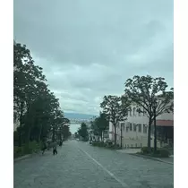 香川 ゆい