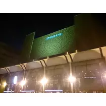 七星 夏純