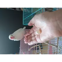 ちよママ
