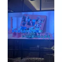 緑 四葉