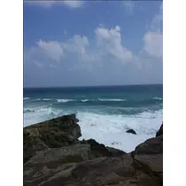 桃瀬 百華
