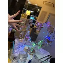 司
