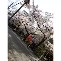 荒木 ナツミ