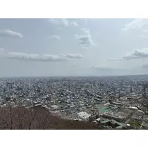 橘 美咲