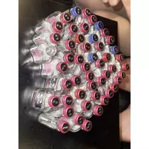 アユ