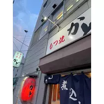 紬 むぎ