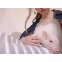 紗貴