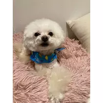 夏樹 あや