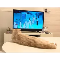 あおい
