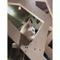 猫羽 のん