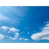 ゆかり
