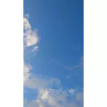 のはら かすみ