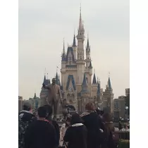 姫花