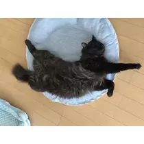 ♡15♡