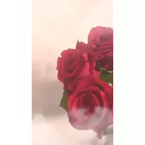 ユメ