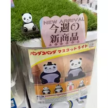 緑 四葉