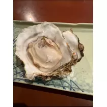 宝條 夏恋