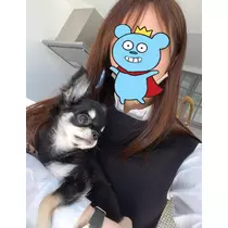 ハルカ