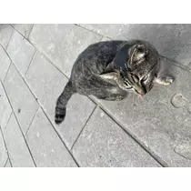 らら