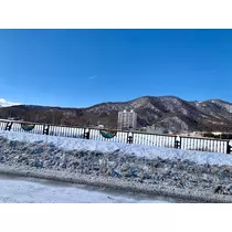咲良 水月