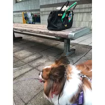 あいら