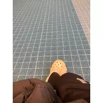 らん