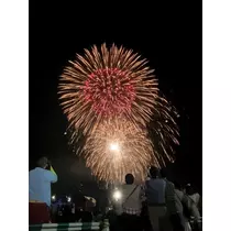 唯
