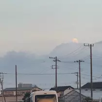 メイ