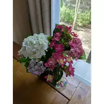 花咲 みらい