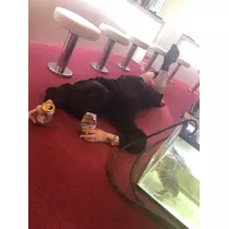 もぐこ
