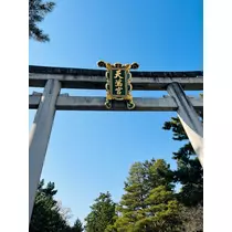 姫花