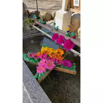 葉月 りほ