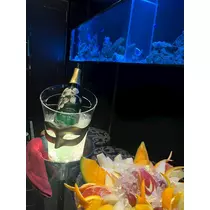 一条 みさき