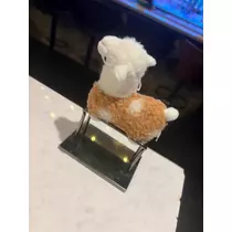 へべれけ酔拳あや