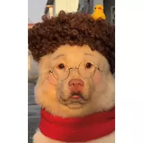 こう