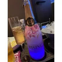 白石 愛莉