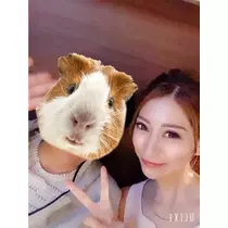 ゆかり