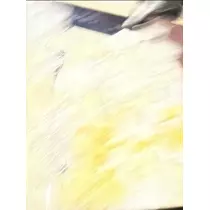 空条 しいな
