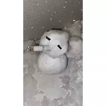 夢咲 ひめ