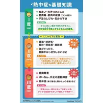 七星 夏純
