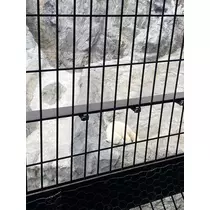 長瀬 純恋