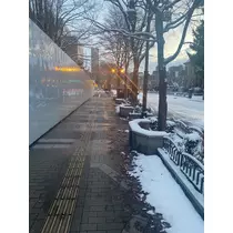 華宮 りりあ