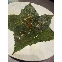 成海 まお