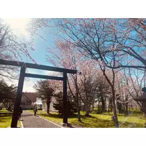 華宮 りりあ