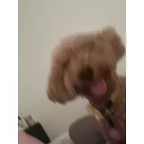 あいりちゃん