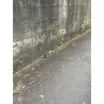 ちひろ