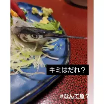 紫音