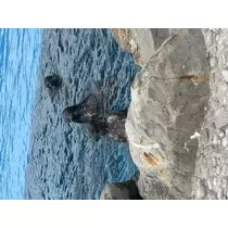 ありさ