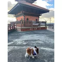 あいら