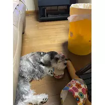 天月 あすな